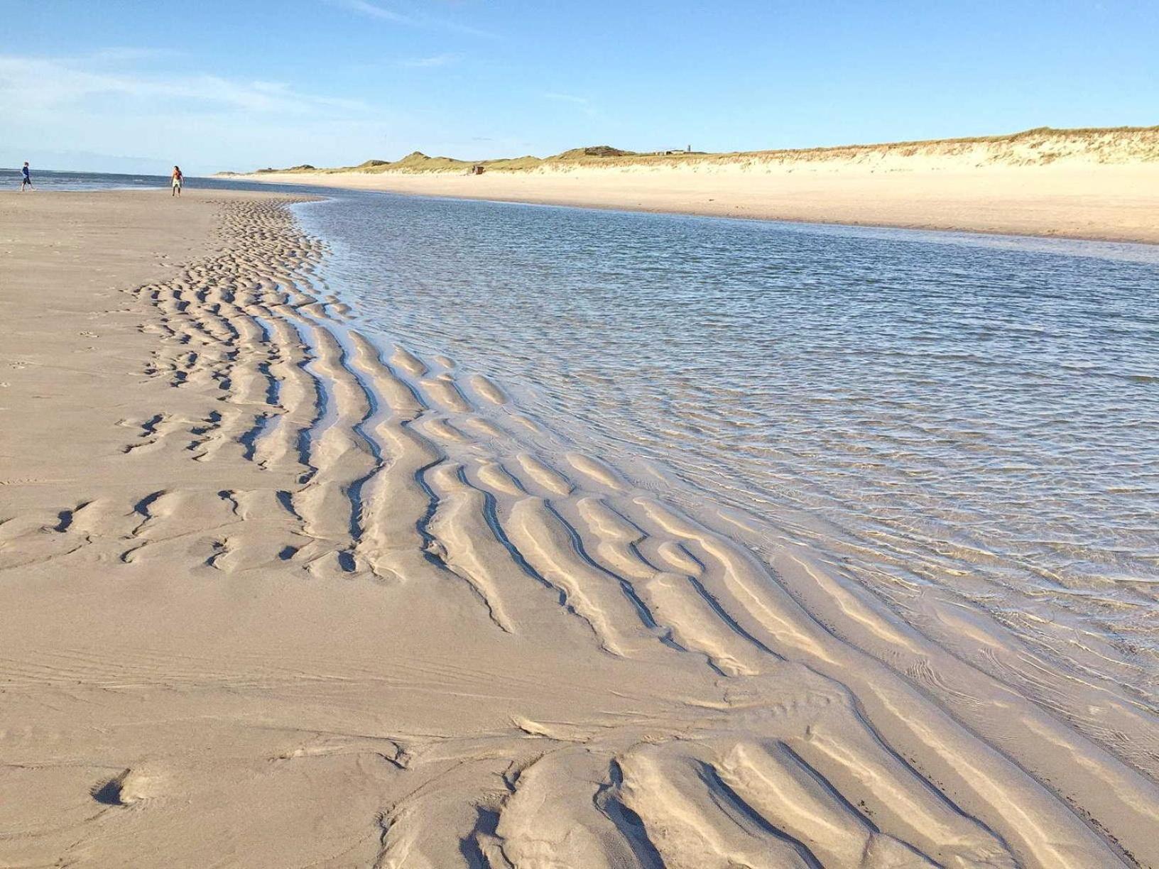 Silbermoewe Hörnum